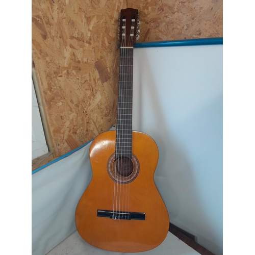 173 - Encore acoustic classical guitar