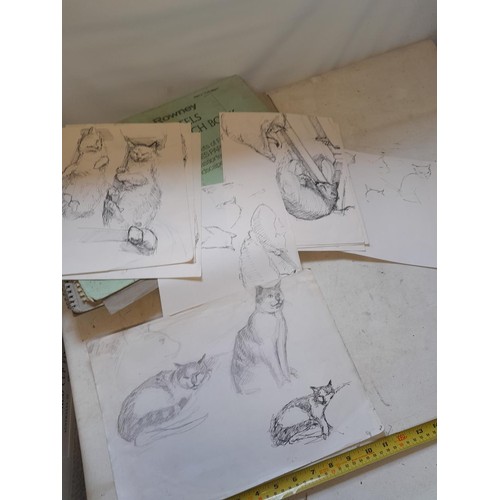 136 - Sketchbooks and pads and loose pen and ink and pastels by Gerald Moneypenny dating from 1950s to ear... 