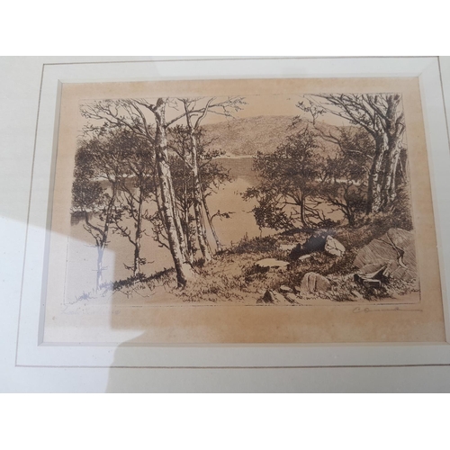 155 - Collection of pictures and prints : faded ltd edition prints, book prints, signed etchings etc.