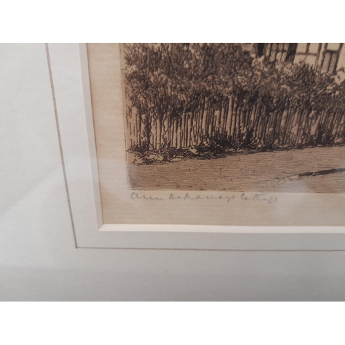 155 - Collection of pictures and prints : faded ltd edition prints, book prints, signed etchings etc.