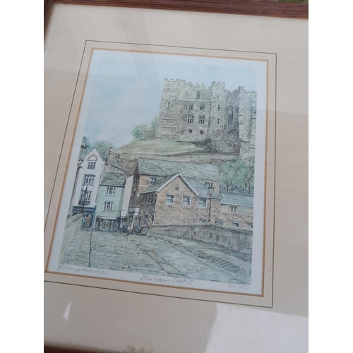 155 - Collection of pictures and prints : faded ltd edition prints, book prints, signed etchings etc.