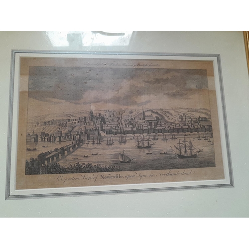 157 - Pictures and prints : Copy of map of Durham, early 19th century book print Newcastle