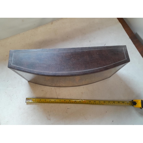 165 - A well stuffed brown trout in case : Taxidermy interest