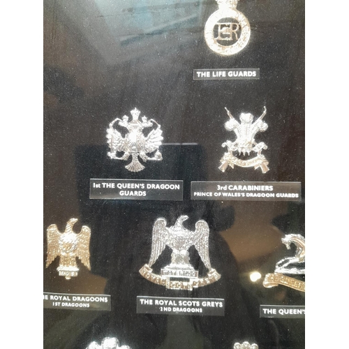 166 - Diorama of 20th century military cap badges