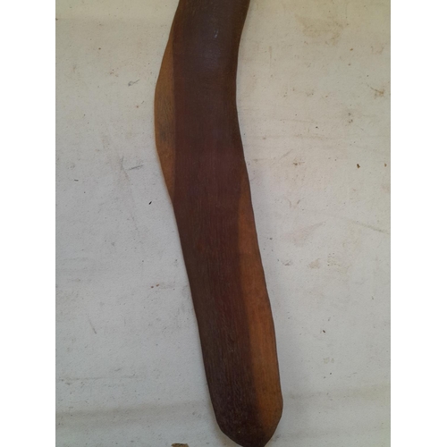 278 - Tribal / Ethnographic interest : Late 19th / early 20th century Australian aboriginal hunting boomer... 