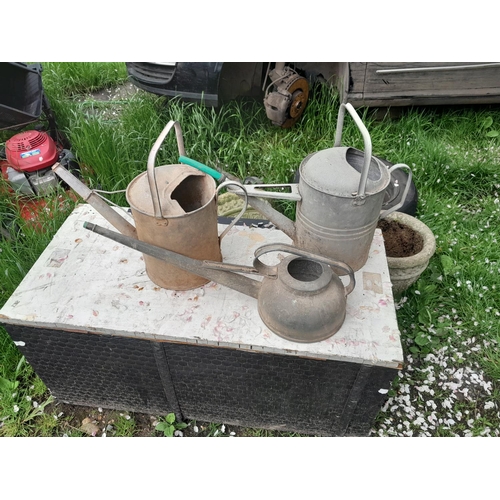 34 - 3 x galvanized watering cans and some garden tools