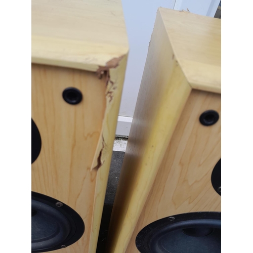 255 - Floor standing Acoustic Solutions speakers note battered cases