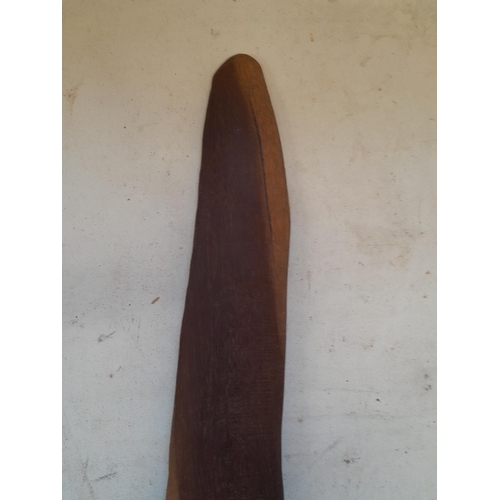 260 - Boomerang , Tribal / Ethnographic interest : Late 19th / early 20th century Australian aboriginal hu... 
