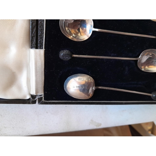 500 - Set of silver coffee bean spoons in presentation case