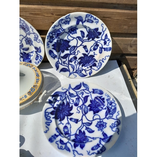 123 - Decorative china : posies, 19th century flow blue and white dinner plates, majolica plate, Masons Ma... 