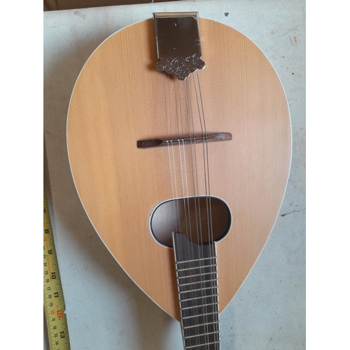 125 - Barely used modern flat back 8 string mandolin