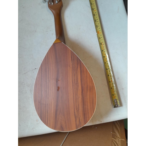 125 - Barely used modern flat back 8 string mandolin
