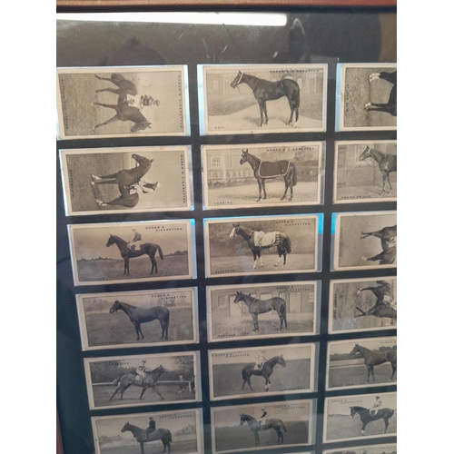 116 - Set of mounted double sided Ogden cigarette cards Derby Entrants 1929