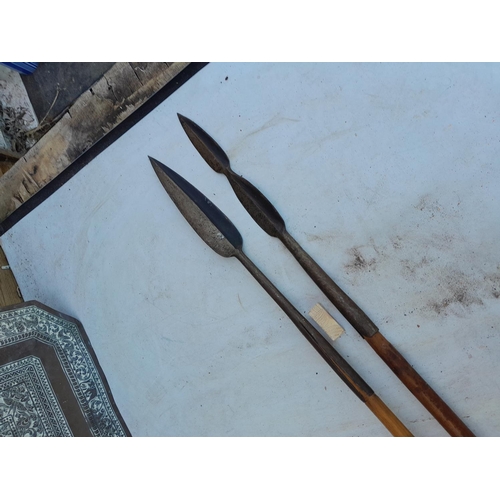 166 - Two late 19th /early 20th century African Massai Warrior spears with spike ends and hardwood shafts ... 