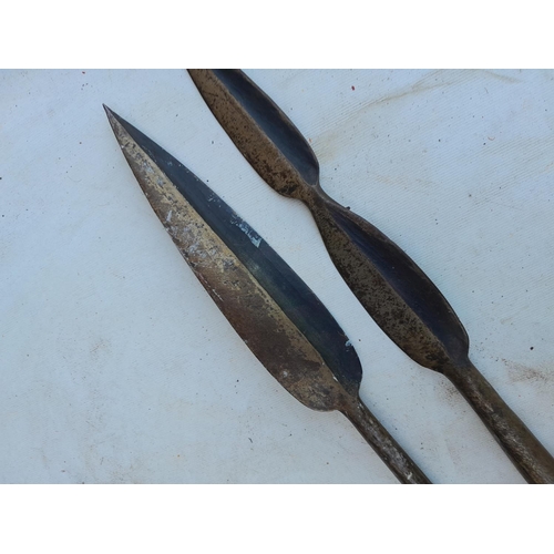 166 - Two late 19th /early 20th century African Massai Warrior spears with spike ends and hardwood shafts ... 