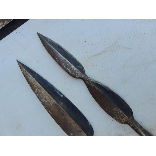 166 - Two late 19th /early 20th century African Massai Warrior spears with spike ends and hardwood shafts ... 