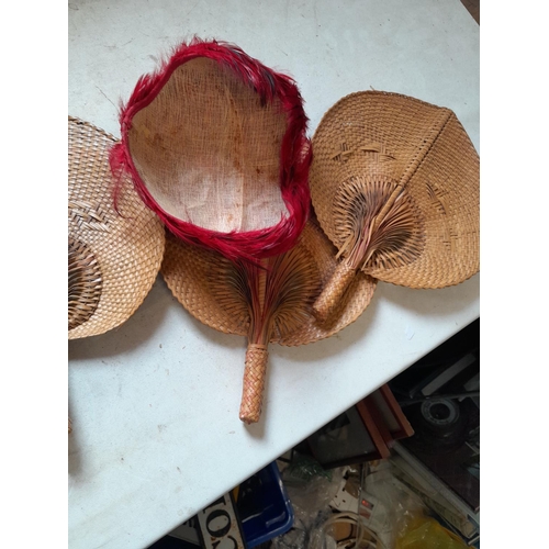 197 - 3 x vintage rattan fans & vintage feather hat