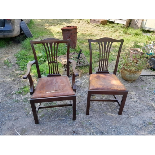 307 - Pair of early 20th century Chippendale style dining chairs, 1 x carver, 1 x standard