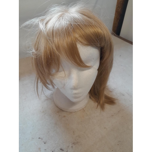 641 - Head mannequin and wig