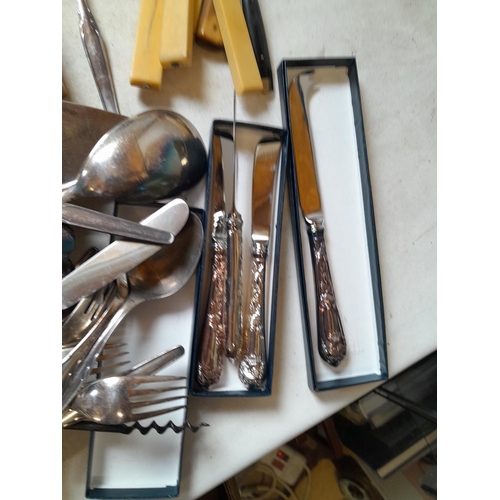 9 - Silver plated and stainless cutlery POSH club paperweight boxed