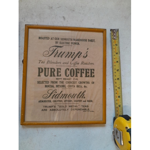 104 - Vintage advertising : Trumps of Sidmouth vintage advertising poster and Health & Safety Certificate