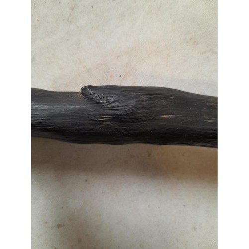 25 - 2 x antique walking sticks : 1 x blackthorn 108 cms, some splitting no worm, 1 x ebony