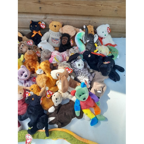 179 - TY Beanie Baby collection with vendors comprehensive stock list, including dates, some tagged etc.