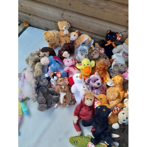 179 - TY Beanie Baby collection with vendors comprehensive stock list, including dates, some tagged etc.