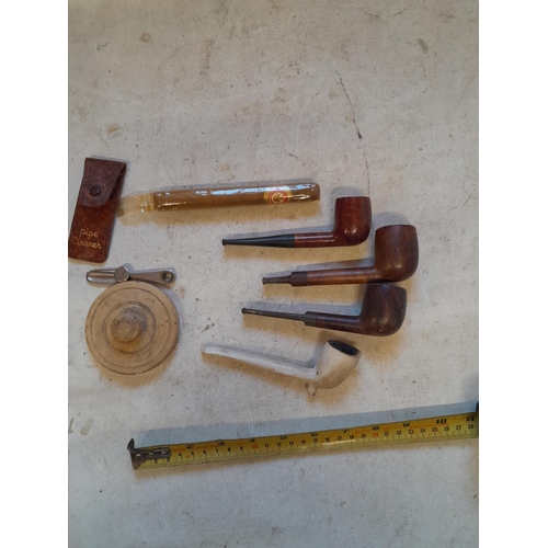 447 - Vintage pipes : The Black Prince, cigars : 9 x Balmoral in wooden box of issue, 1 x Flor Fina Alvard... 