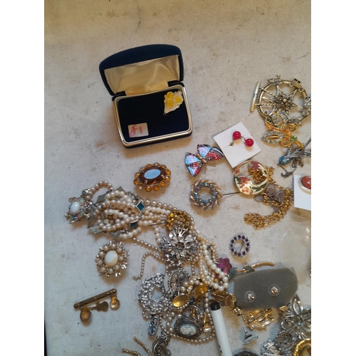 8 - Assorted costume jewellery and watches