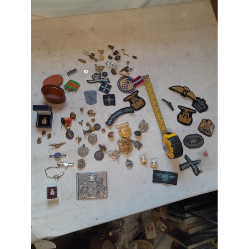 42 - Various military cap badges, pin badges, lapel badges etc.