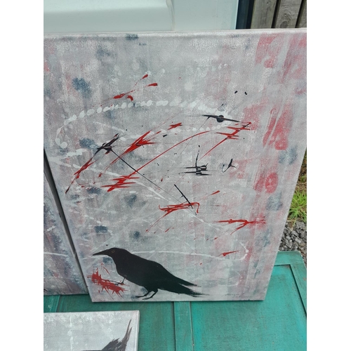 317 - 3 x modern oils on Canvas signed by artist : Studies of Ravens 50 cms x 73 cms