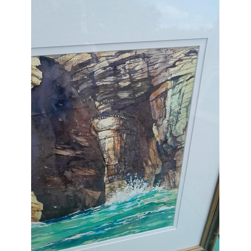 328 - Modern Watercolour of Guillemots off Cliffs by Barry Herniman, F&G 45 cms x 72 cms