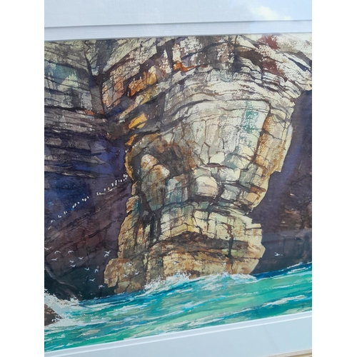 328 - Modern Watercolour of Guillemots off Cliffs by Barry Herniman, F&G 45 cms x 72 cms