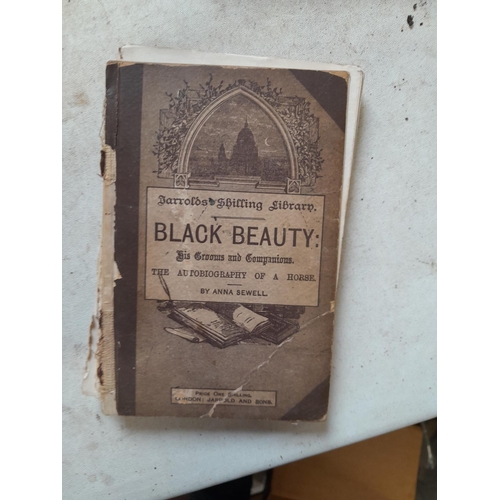 362 - 4 x volumes : Early Black Beauty, loose leaves, David Livingstone H/B early edition, Neville Shute o... 