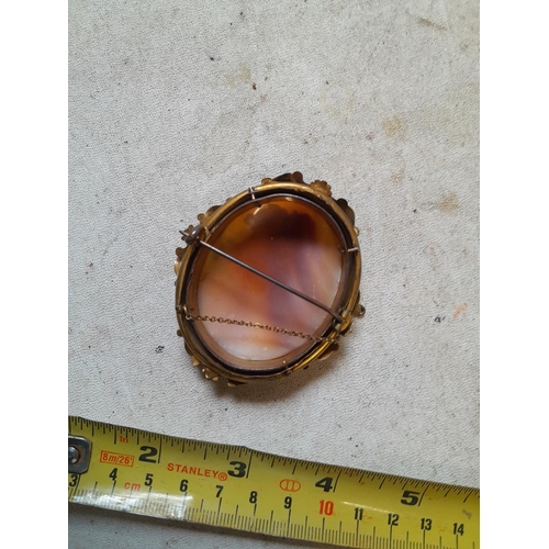 610 - Gilded metal cameo brooch