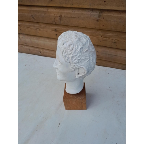 785 - Plaster Head on oak plinth by T M Mitchell, Romeo, 32 cms