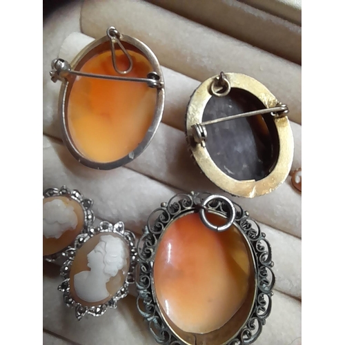 291 - Gold plated and other cameo jewellery