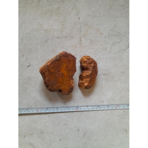 45 - Large lump of fossilized amber broken in 2 pieces 327 g