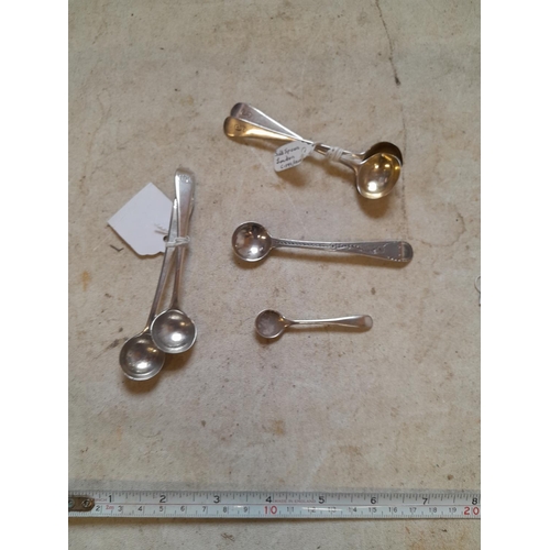 90 - Assorted pairs of 19th century silver mustard spoons and other salt spoons