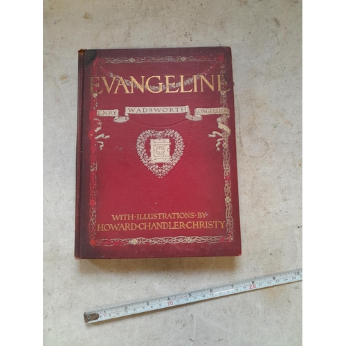 117 - Single volume : 1905 Evangeline by Longfellow