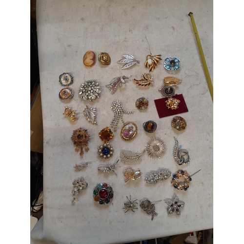 Costume jewellery brooches