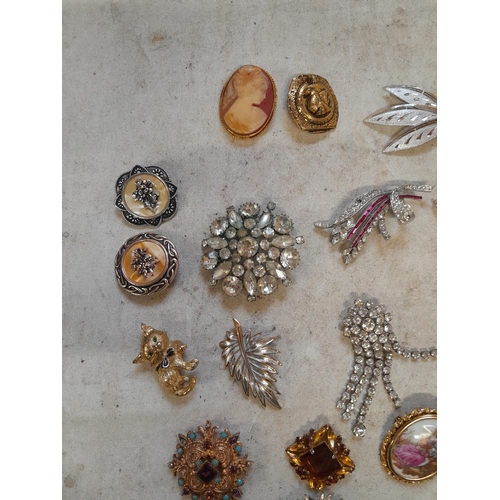 Costume jewellery brooches