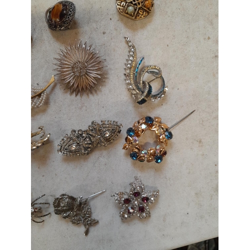 Costume jewellery brooches