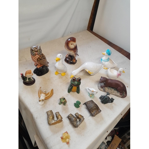 11 - Collection of pottery owls, frogs and ornaments