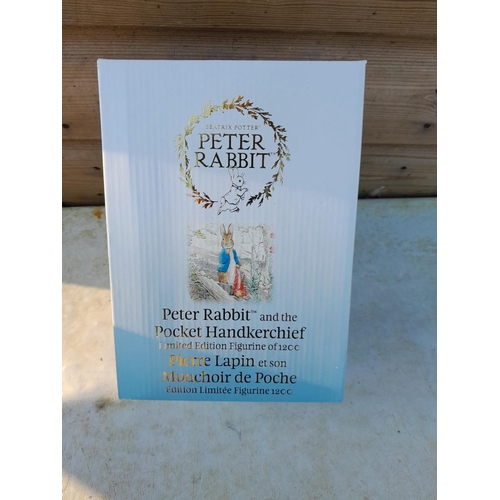 45 - Beatrix Potter and World of Peter Rabbit figure in original box