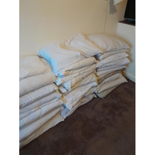 16 - Assorted feather pillows