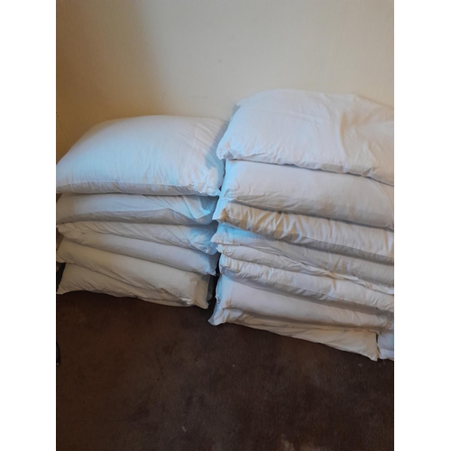 16 - Assorted feather pillows