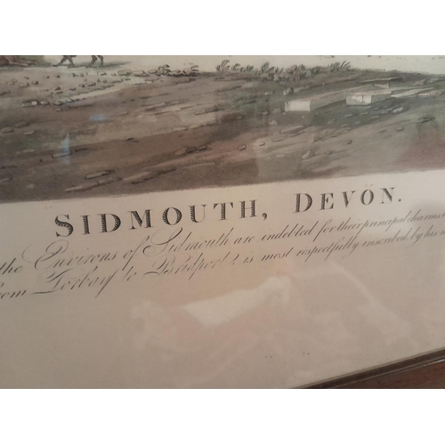 46 - 19th century full size frame Sidmouth Panoramic print, engraved by Havell 57 cms x 300 cms