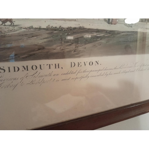 46 - 19th century full size frame Sidmouth Panoramic print, engraved by Havell 57 cms x 300 cms